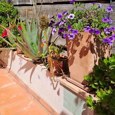 Apartman Studio-type Loft Au Coeur De *